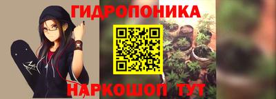 mdpv Иваново