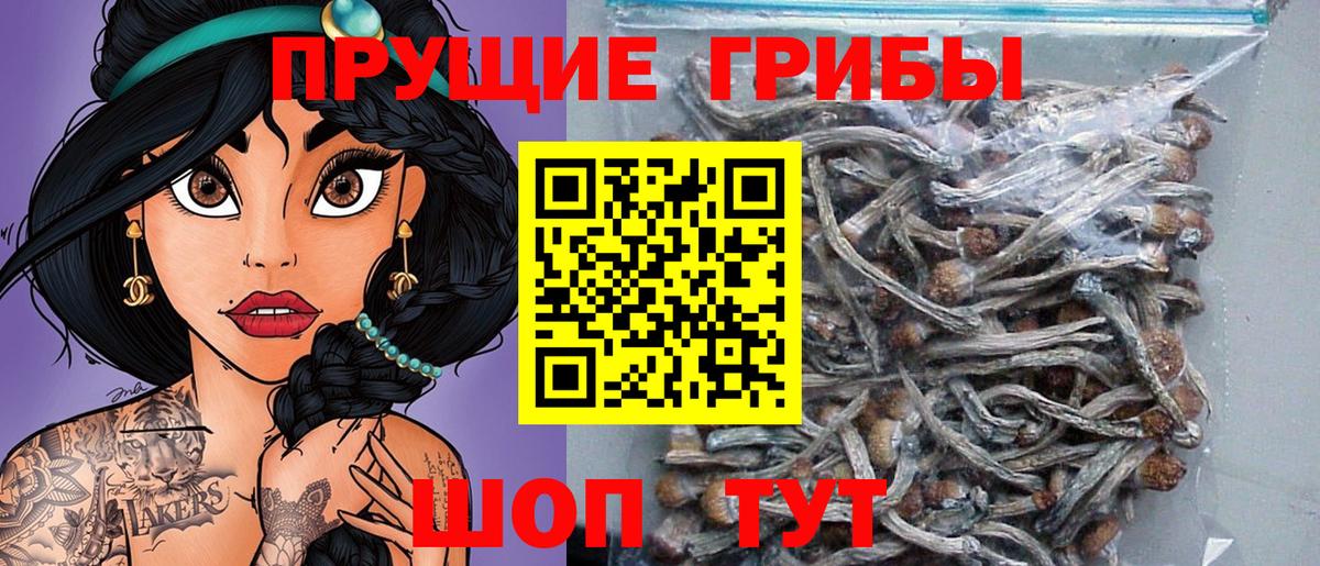Галлюциногенные грибы MAGIC MUSHROOMS Орёл