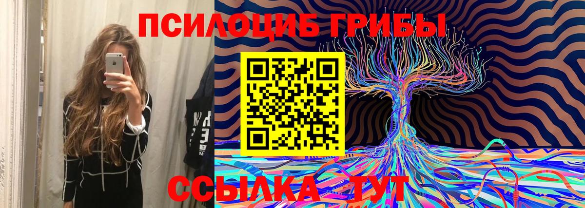 Орёл  Псилоцибиновые грибы MAGIC MUSHROOMS  Псилоцибиновые грибы ЛСД  купить   Вход с VPN 